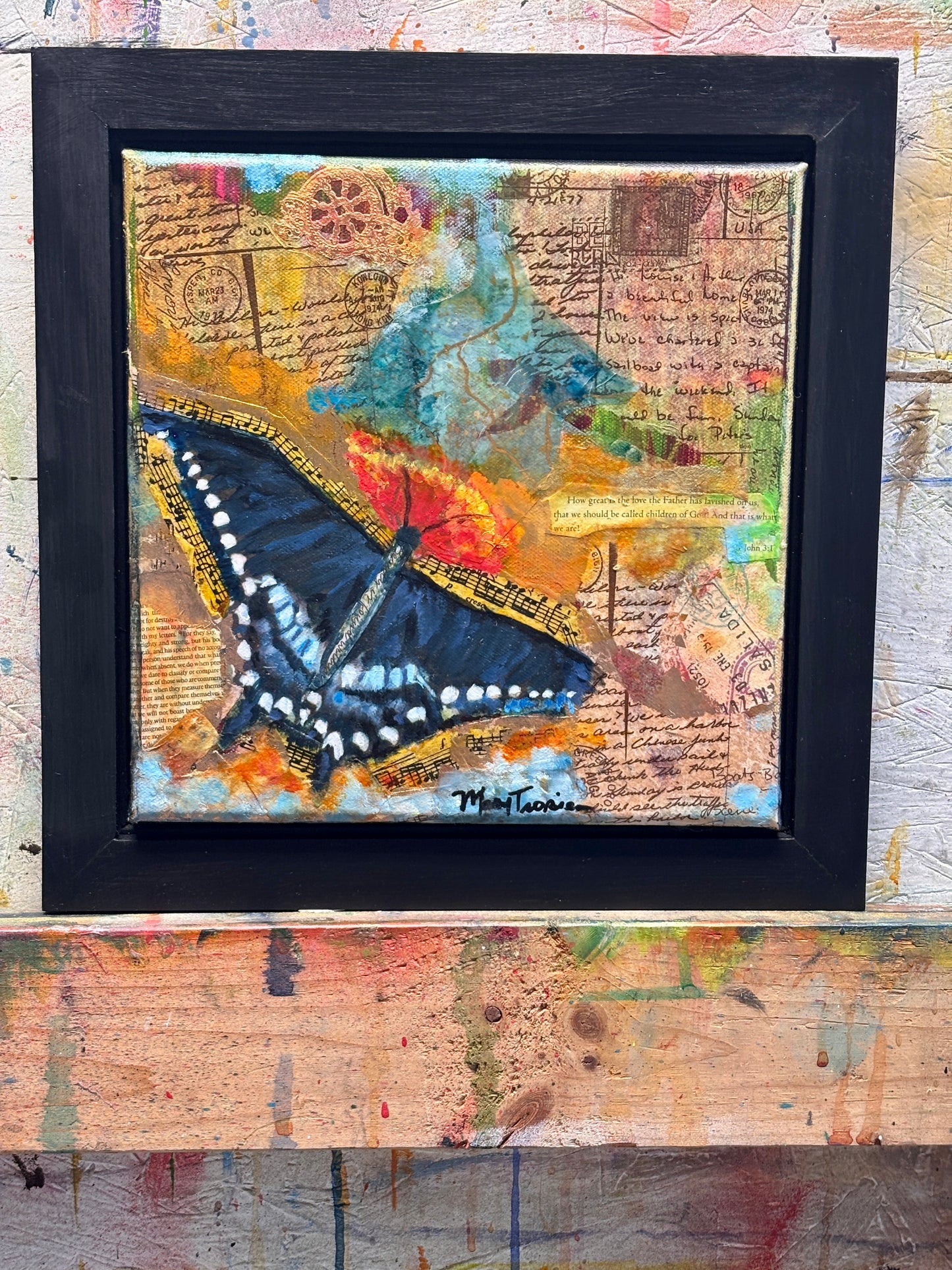 Captivated- Blue Admiral Butterfly