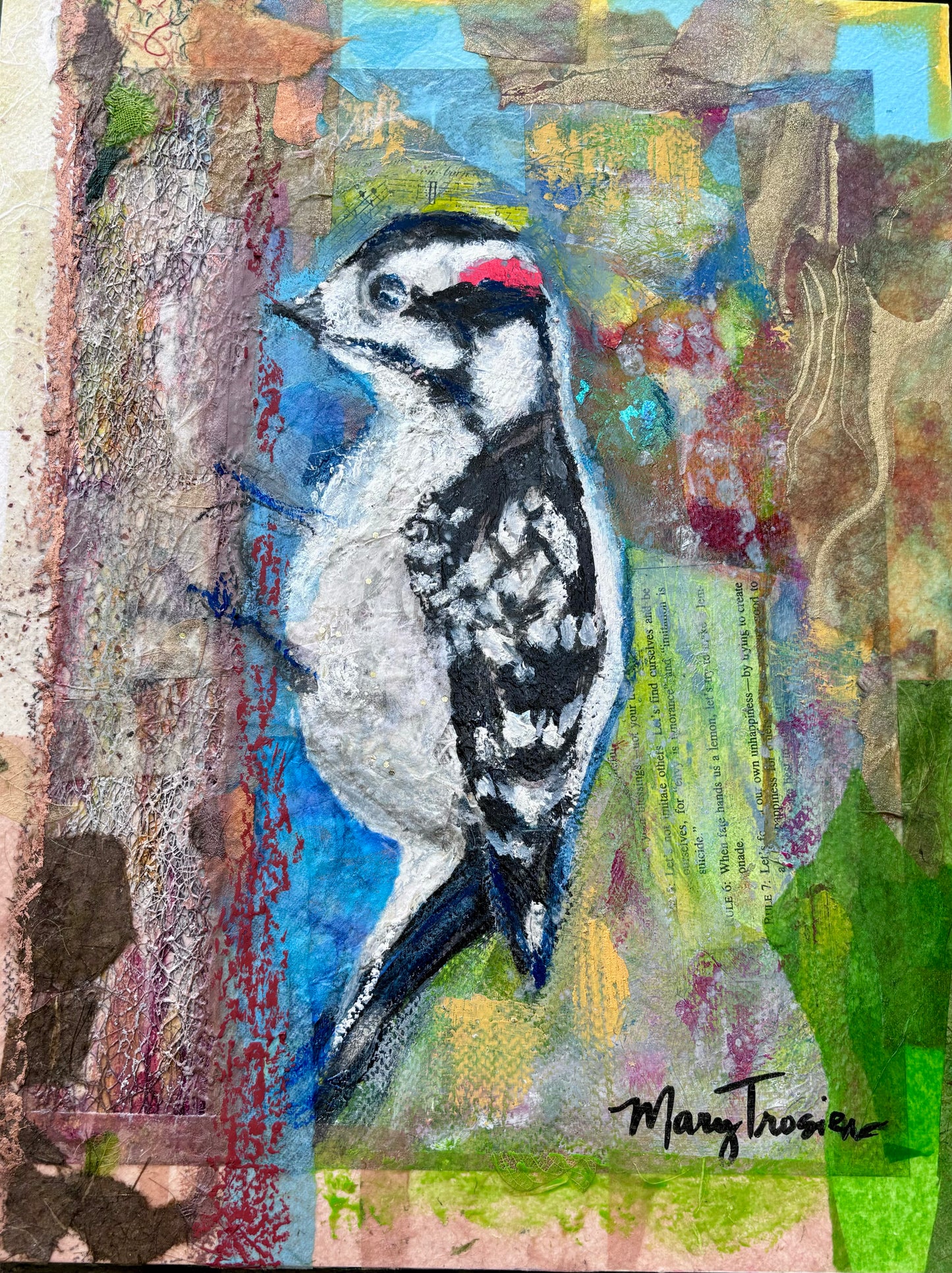 Downy Woodpecker Reimagined