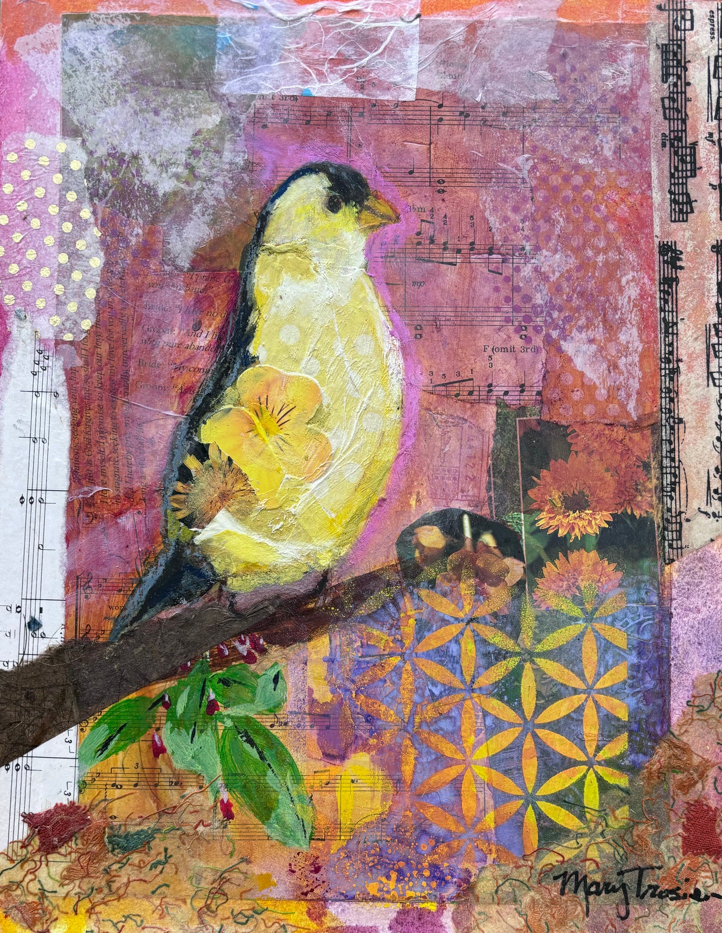 Yellow Finch’s Song Reimagined