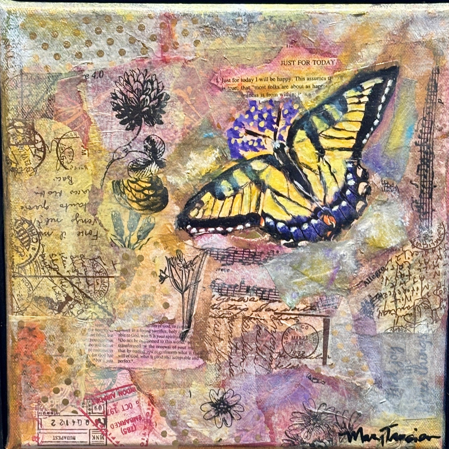 Captivated- Yellow Swallowtail Butterfly
