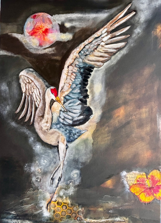 Captivated! Sandhills Crane