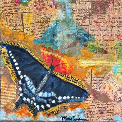 Captivated- Blue Admiral Butterfly