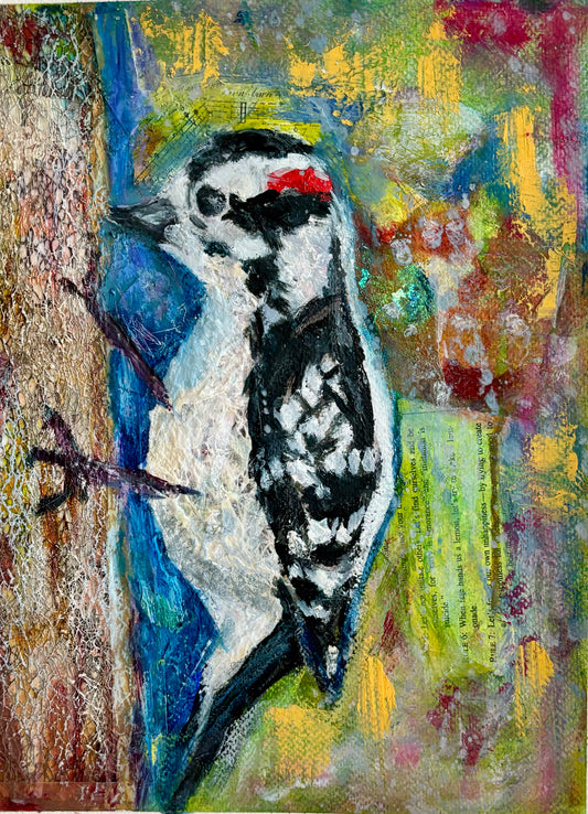 Downy Woodpecker